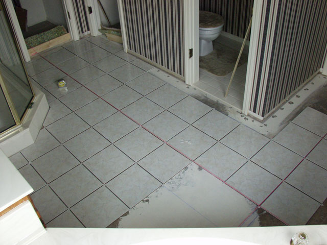 P5291162