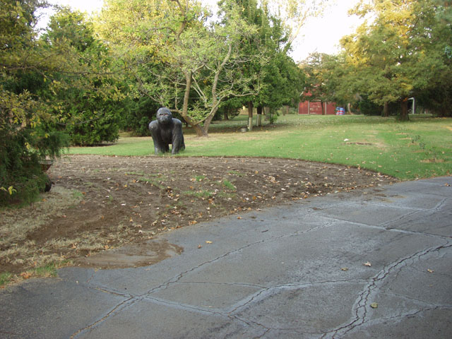 P9131347